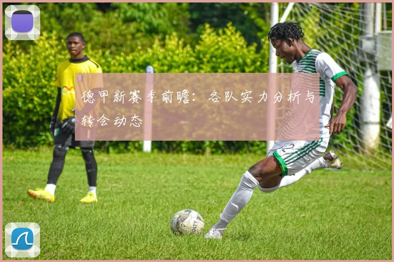 德甲新赛季前瞻：各队实力分析与转会动态
